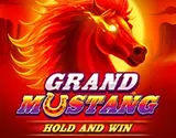Grand Mustang
