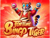 Fortune Tiger